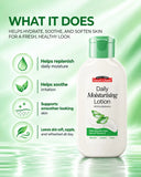 Aloe Vera Daily Moisturizing Lotion