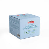 Oil Free Hydra Glow Moisturizing Gel