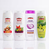 Bundle of 4 Shampoos at the price of 3