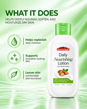 Shea Butter Daily Nourishing Lotion